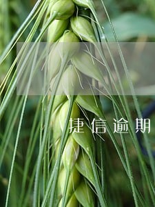 捷信逾期2个月多钱 捷信逾期2个月多钱