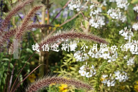 捷信逾期2个月能办信用卡吗 捷信逾期2个月能办信用卡吗
