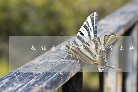 捷信逾期2个月还能上征信吗 捷信逾期2个月还能上征信吗
