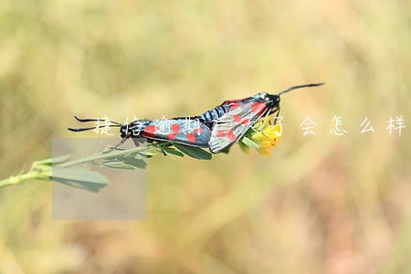 捷信逾期2天了会怎么样 捷信逾期2天了会怎么样
