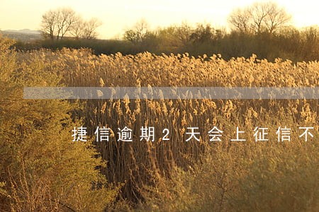 捷信逾期2天会上征信不 捷信逾期2天会上征信不