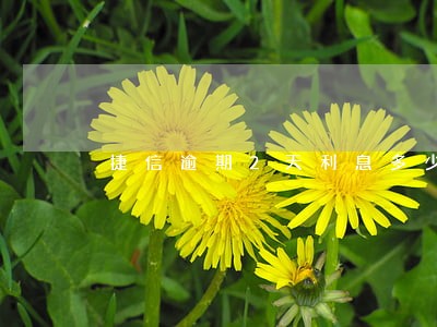 捷信逾期2天利息多少 捷信逾期2天利息多少