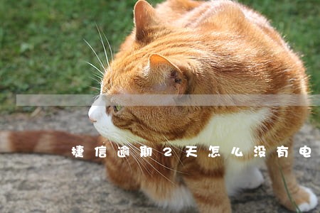 捷信逾期2天怎么没有电话 捷信逾期2天怎么没有电话