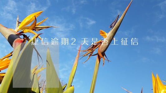捷信逾期2天是否上征信 捷信逾期2天是否上征信