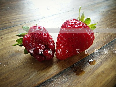 捷信逾期2天能复借吗 捷信逾期2天能复借吗