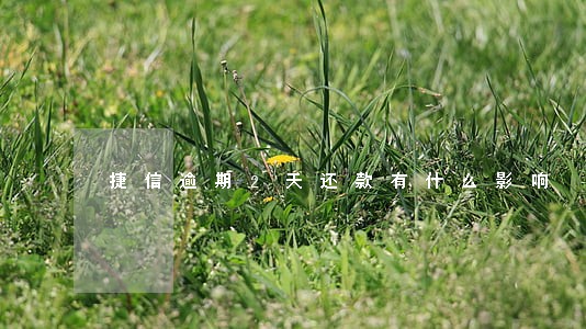 捷信逾期2天还款有什么影响 捷信逾期2天还款有什么影响