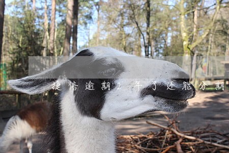 捷信逾期2年了还能分期吗 捷信逾期2年了还能分期吗