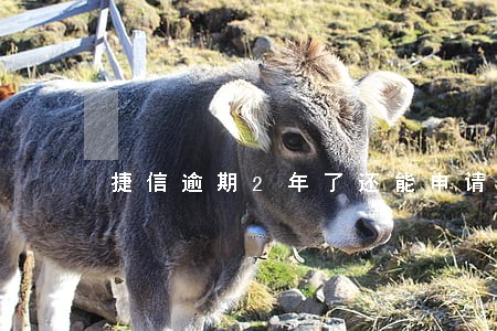 捷信逾期2年了还能申请信用卡吗