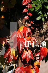 捷信逾期2月还上征信么 捷信逾期2月还上征信么