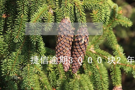捷信逾期3000块2年了