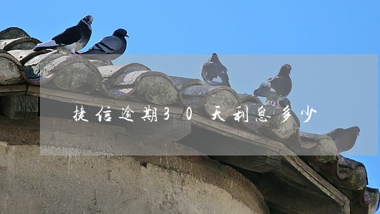 捷信逾期30天利息多少 捷信逾期30天利息多少