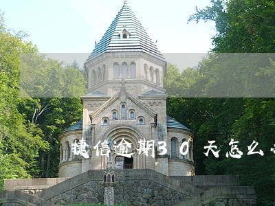 捷信逾期30天怎么办 捷信逾期30天怎么办