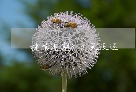 捷信逾期30天没还 捷信逾期30天没还