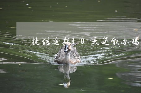 捷信逾期30天还能办吗 捷信逾期30天还能办吗