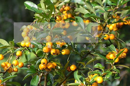 捷信逾期3200元 捷信逾期3200元