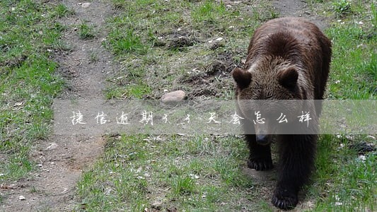捷信逾期33天会怎么样 捷信逾期33天会怎么样