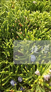 捷信逾期3500要上门 捷信逾期3500要上门