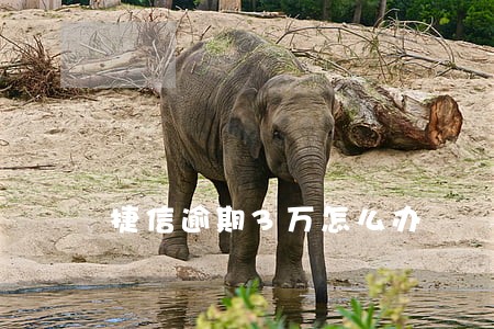 捷信逾期3万怎么办 捷信逾期3万怎么办