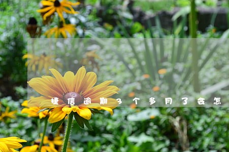 捷信逾期3个多月了会怎么样 捷信逾期3个多月了会怎么样