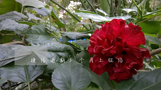 捷信逾期3个月上征信