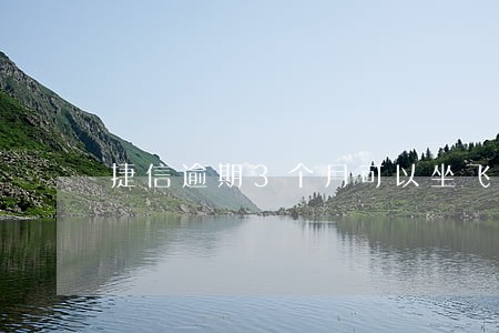 捷信逾期3个月可以坐飞机吗 捷信逾期3个月可以坐飞机吗