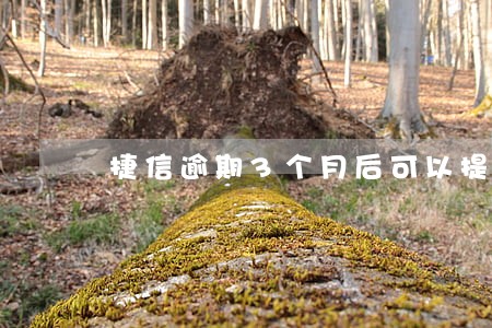 捷信逾期3个月后可以提前还款吗 捷信逾期3个月后可以提前还款吗
