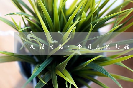 捷信逾期3个月怎么处理 捷信逾期3个月怎么处理
