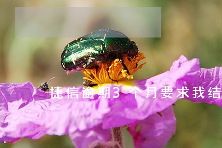 捷信逾期3个月要求我结清 捷信逾期3个月要求我结清