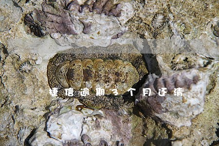 捷信逾期3个月还清 捷信逾期3个月还清