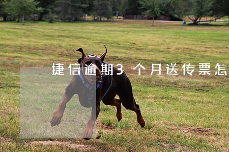 捷信逾期3个月送传票怎么办 捷信逾期3个月送传票怎么办