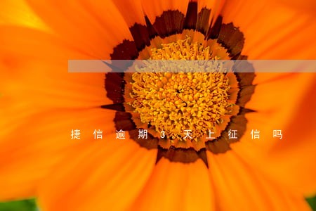 捷信逾期3天上征信吗 捷信逾期3天上征信吗