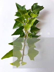 捷信逾期3天怎么还款吗
