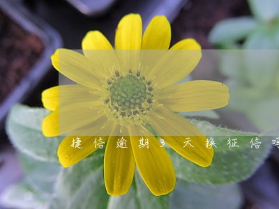 捷信逾期3天换征信吗 捷信逾期3天换征信吗