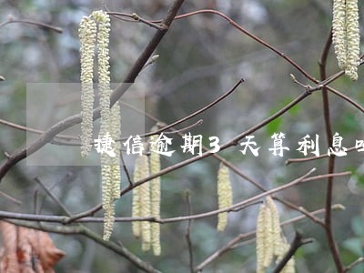 捷信逾期3天算利息吗