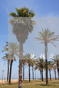 捷信逾期3天罚息多少 捷信逾期3天罚息多少