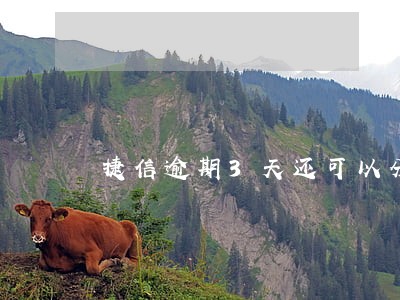 捷信逾期3天还可以分期吗 捷信逾期3天还可以分期吗