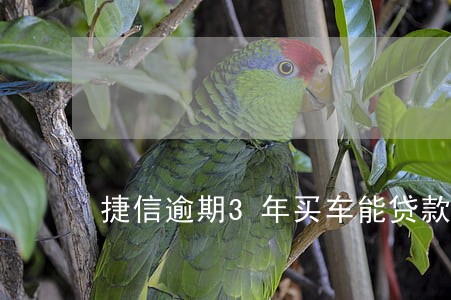 捷信逾期3年买车能贷款吗 捷信逾期3年买车能贷款吗