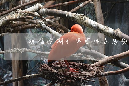捷信逾期3年可以办房贷吗