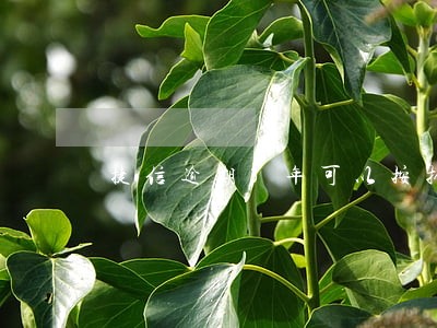 捷信逾期3年可以按揭房吗 捷信逾期3年可以按揭房吗