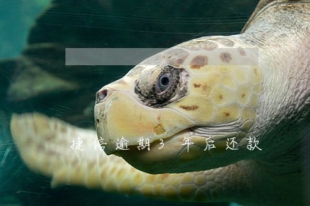捷信逾期3年后还款 捷信逾期3年后还款