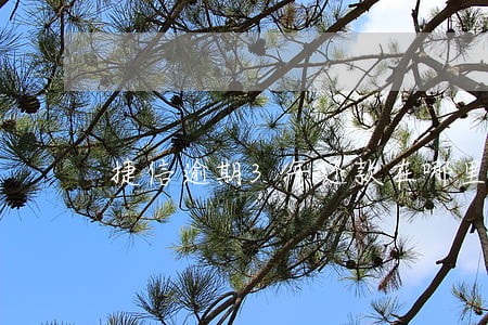 捷信逾期3年还款在哪里 捷信逾期3年还款在哪里