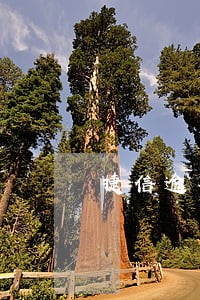 捷信逾期3次就会上征信吗 捷信逾期3次就会上征信吗