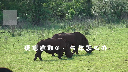 捷信逾期4-5年怎么办 捷信逾期4-5年怎么办