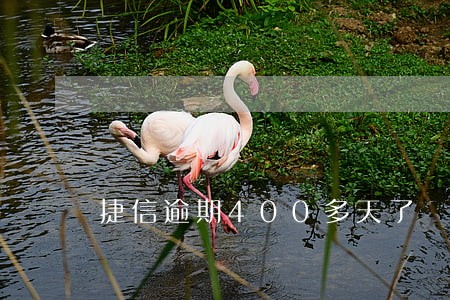 捷信逾期400多天了 捷信逾期400多天了