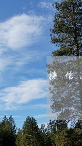 捷信逾期400天还本金可信吗 捷信逾期400天还本金可信吗
