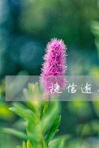 捷信逾期40天逾期费用 捷信逾期40天逾期费用