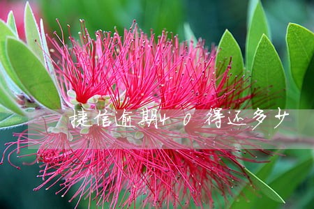 捷信逾期40得还多少 捷信逾期40得还多少