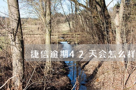 捷信逾期42天会怎么样
