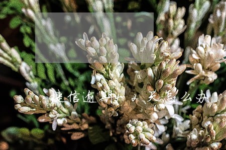 捷信逾期42天怎么办 捷信逾期42天怎么办