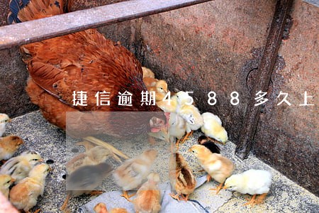 捷信逾期4588多久上门 捷信逾期4588多久上门